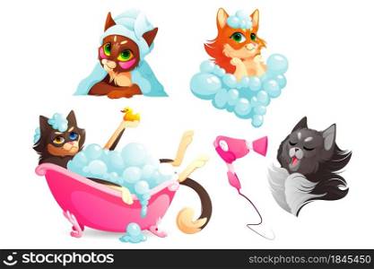 Cats or dogs spa and grooming service, funny kittens and puppies enjoying salon procedures, pets dry hair with fan and towel, take bath in tub with shampoo bubbles and rubber duck. Cartoon vector set. Cats or dogs spa and grooming service, hygiene