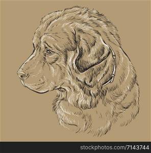 Caucasian Shepherd Dog vector hand drawing illustration in black and white colors isolated on beige background