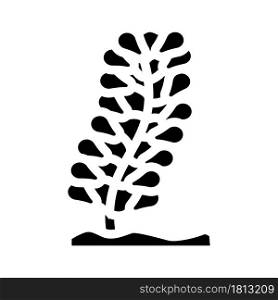 caulerpa lentillifera seaweed glyph icon vector. caulerpa lentillifera seaweed sign. isolated contour symbol black illustration. caulerpa lentillifera seaweed glyph icon vector illustration