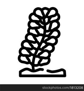 caulerpa lentillifera seaweed line icon vector. caulerpa lentillifera seaweed sign. isolated contour symbol black illustration. caulerpa lentillifera seaweed line icon vector illustration