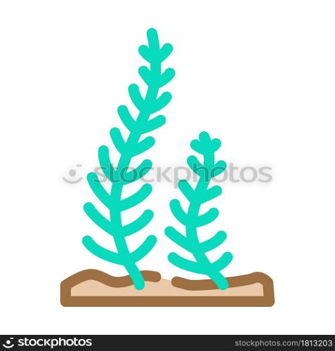 caulerpa taxifolia seaweed color icon vector. caulerpa taxifolia seaweed sign. isolated symbol illustration. caulerpa taxifolia seaweed color icon vector illustration