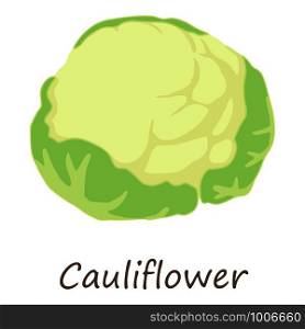 Cauliflower icon. Isometric of cauliflower vector icon for web design isolated on white background. Cauliflower icon, isometric style
