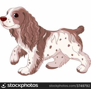 Cavalier King Charles Spaniel dog&#xA;
