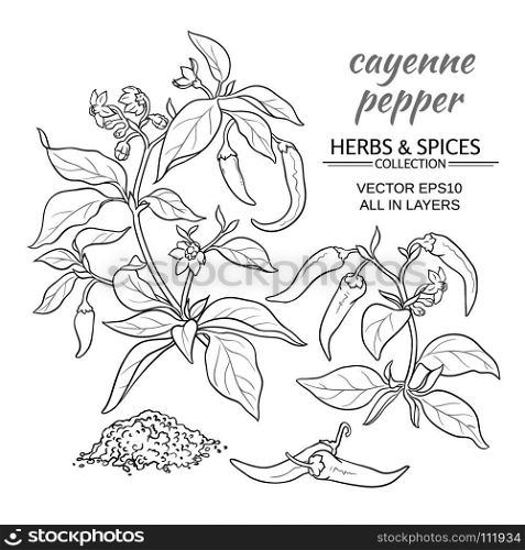 cayenne pepper set. cayenne pepper vector set on color background