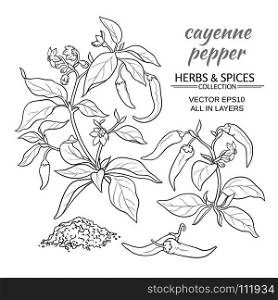 cayenne pepper set. cayenne pepper vector set on color background