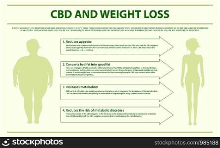 CBD and Weight Loss horizontal infographic illustration about cannabis as herbal alternative medicine and chemical therapy, healthcare and medical science vector.