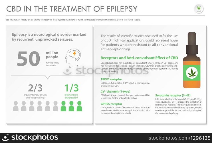 CBD in the Treatment of Epilepsy horizontal business infographic illustration about cannabis as herbal alternative medicine and chemical therapy, healthcare and medical science vector.