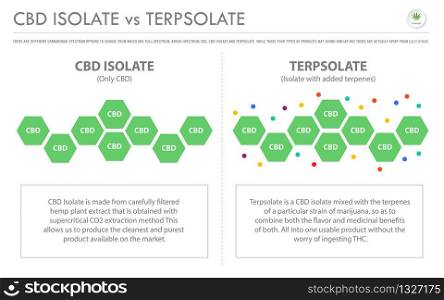 CBD Isolate vs Terpsolate horizontal business infographic illustration about cannabis as herbal alternative medicine and chemical therapy, healthcare and medical science vector.