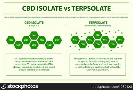CBD Isolate vs Terpsolate horizontal infographic illustration about cannabis as herbal alternative medicine and chemical therapy, healthcare and medical science vector.