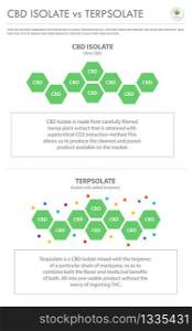 CBD Isolate vs Terpsolate vertical business infographic illustration about cannabis as herbal alternative medicine and chemical therapy, healthcare and medical science vector.