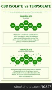 CBD Isolate vs Terpsolate vertical infographic illustration about cannabis as herbal alternative medicine and chemical therapy, healthcare and medical science vector.