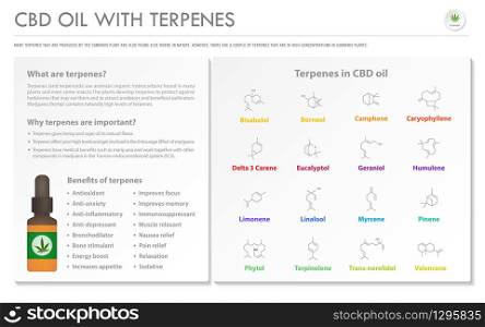CBD Oil with Terpenes horizontal business infographic illustration about cannabis as herbal alternative medicine and chemical therapy, healthcare and medical science vector.