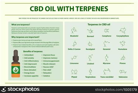 CBD Oil with Terpenes horizontal infographic illustration about cannabis as herbal alternative medicine and chemical therapy, healthcare and medical science vector.