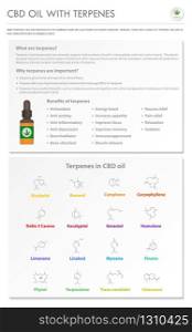 CBD Oil with Terpenes vertical business infographic illustration about cannabis as herbal alternative medicine and chemical therapy, healthcare and medical science vector.