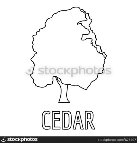 Cedar icon. Outline illustration of cedar vector icon for web. Cedar icon, outline style.