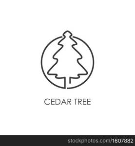 Cedar tree illustration logo design template