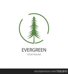 Cedar tree illustration logo template