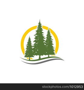 Cedar tree vector icon illustration design template