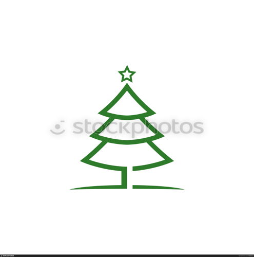 Cedar tree vector icon illustration design template