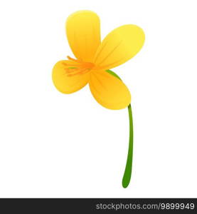 Celandine blossom flower icon. Cartoon of celandine blossom flower vector icon for web design isolated on white background. Celandine blossom flower icon, cartoon style