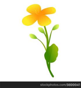 Celandine botanical flower icon. Cartoon of celandine botanical flower vector icon for web design isolated on white background. Celandine botanical flower icon, cartoon style