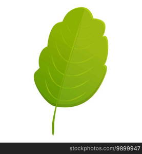 Celandine flower leaf icon. Cartoon of celandine flower leaf vector icon for web design isolated on white background. Celandine flower leaf icon, cartoon style
