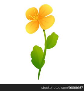 Celandine garden flower icon. Cartoon of celandine garden flower vector icon for web design isolated on white background. Celandine garden flower icon, cartoon style