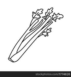 Celery herbs. Vegetable sketch. Thin simple outline icon. Black contour line vector. Doodle hand drawn illustration