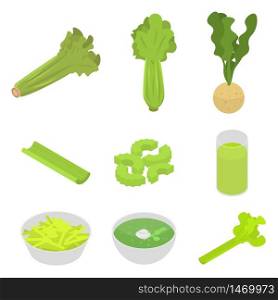 Celery icons set. Isometric set of celery vector icons for web design isolated on white background. Celery icons set, isometric style