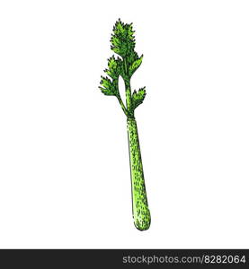 celery leaf hand drawn. fresh green, food vegetable, healthy ingredient, stalk diet, cooking raw celery leaf vector sketch. isolated color illustration. celery leaf sketch hand drawn vector