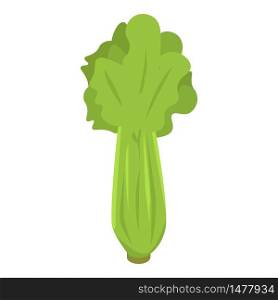 Celery leaf icon. Isometric of celery leaf vector icon for web design isolated on white background. Celery leaf icon, isometric style