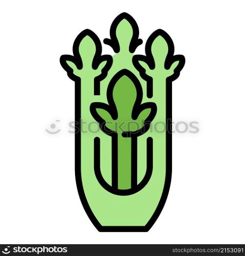 Celery spice icon. Outline celery spice vector icon color flat isolated. Celery spice icon color outline vector