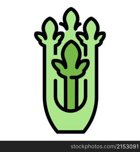 Celery spice icon. Outline celery spice vector icon color flat isolated. Celery spice icon color outline vector