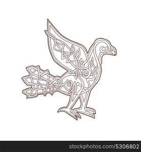 Celtic Knotwork or pseudo-Celtic linear knot style illustration of a Dove, pigeon bird viewed from side on isolated background.. Dove Celtic Knotwork