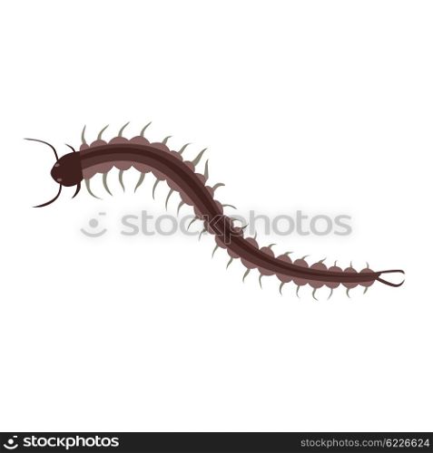 Centipede Insect Design Flat Isolated. Centipede insect design flat isolated. Longest insect with many legs isolated on white background. Poisonous centipede with tentacles and antennas being of wildlife in flat style. Vector illustration