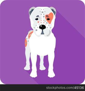 Central Asian Shepherd Dog icon flat design. Vector Central Asian Shepherd Dog icon flat design