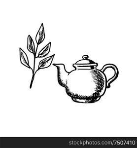 Ceramic teapot with fresh tea leaves isolated on white background, sketch style. Ceramic teapot with tea leaves