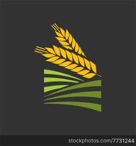 Cereal ear and spike of wheat, barley or rice, millet stalk vector icon. Bread bakery spikelet for grain food and agriculture, wheat ear or barley spike on green farm field, organic crop harvest. Cereal ear spike of wheat, barley or rice millet