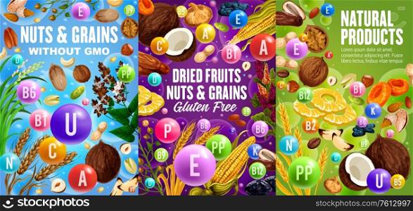 Cereal grains, nuts gmo and gluten free. Vector wheat, rye, buckwheat, coconut and hazelnut, walnut and almond, sunflower seeds, corn, pistachio and dried apricots. Organic natural food, grain posters. Gmo free cereal grains and nuts eco food poster