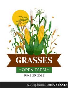 Cereal grasses flat poster with ears of wheat corn oats barley cobs vector illustration