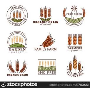 Cereal icons of wheat ear spike, barley or rye millet, vector agriculture farm emblems. Organic garden market and gluten free or GMO free labels for bread or cereal products and beer brewery. Cereal icons, wheat ear spike, barley, rye millet