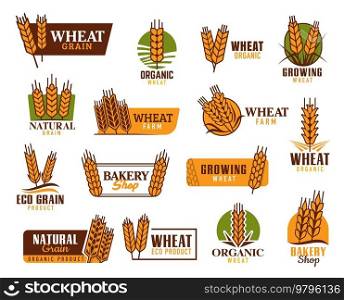 Cereal vector icons. Wheat, rice, oat, barley and millet ears. Organic food product, bakery shop and natural cereals farm vector symbols, emblems with wheat, rye or barley ears and spikelets. Cereal vector icons with wheat, rice, oat ears