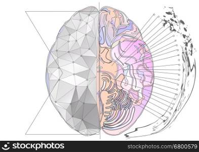 cerebral hemisphere. abstract brain with multicolor line and light