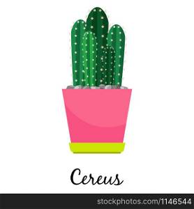 Cereus cactus in pot isolated on the white background, vector illustration. Cereus cactus in pot