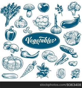 Chalk drawing of vegetables. Various vintage hand drawn vegetable with text, organic carrots broccoli eggplant, cabbage and mushroom, farming food. Sketch style vector isolated set. Chalk drawing of vegetables. Various vintage hand drawn vegetable with text, organic carrots broccoli eggplant, cabbage and mushroom, farming. Sketch style vector set