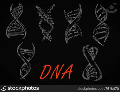 Chalk sketched DNA helix models on blackboard, composed of abstract twisted strands and dots. May be use in medicine, science research or genetic technology theme design. DNA helix models chalk sketches