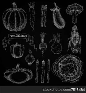 Chalk sketches of cabbage, broccoli and bell pepper, corn cob and eggplant, pumpkin and beet, garlic and asparagus, kohlrabi and pattypan, squash and daikon vegetables on chalkboard. Chalk sketches of farm vegetables