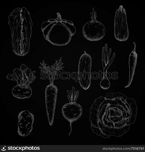 Chalkboard with sketched farm juicy carrot and cucumber, cabbage and beet, onion and chilli pepper, potato and kohlrabi, zucchini and scallion, pattypan squash and chinese cabbage vegetables. Agriculture harvest, vegetarian menu themes design. Farm and homegrown vegetables sketches