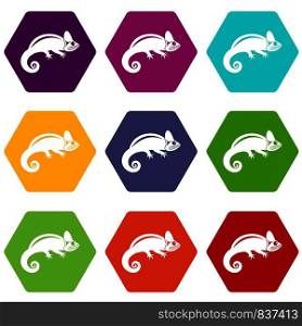 Chameleon icon set many color hexahedron isolated on white vector illustration. Chameleon icon set color hexahedron