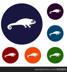 Chameleon icons set in flat circle reb, blue and green color for web. Chameleon icons set